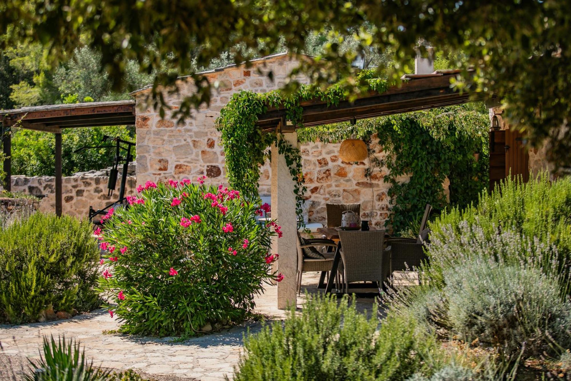 Villa Oxa Dreamland Stari Grad  Ngoại thất bức ảnh